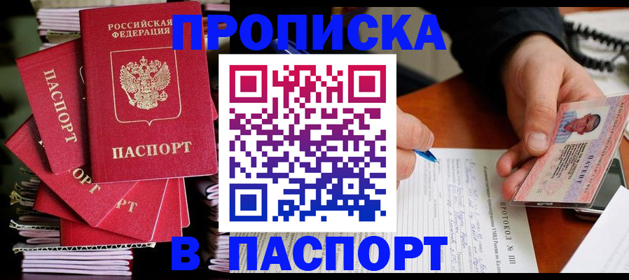 временная регистрация гарантия в Новосибирской области